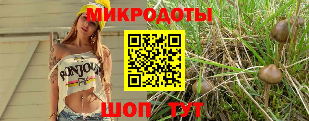 Псилоцибиновые грибы MAGIC MUSHROOMS Трёхгорный