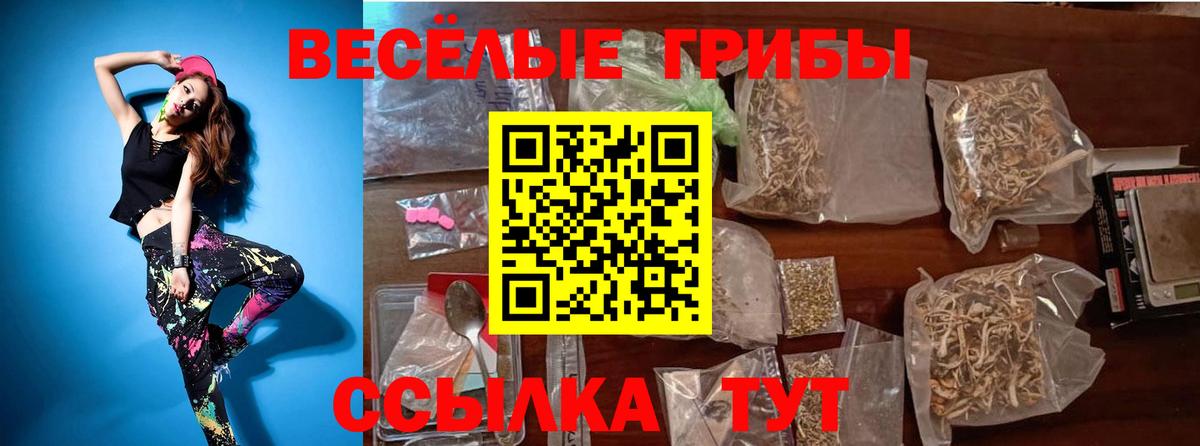 Псилоцибиновые грибы MAGIC MUSHROOMS  Псилоцибиновые грибы мухоморы  Трёхгорный  Вход с VPN 