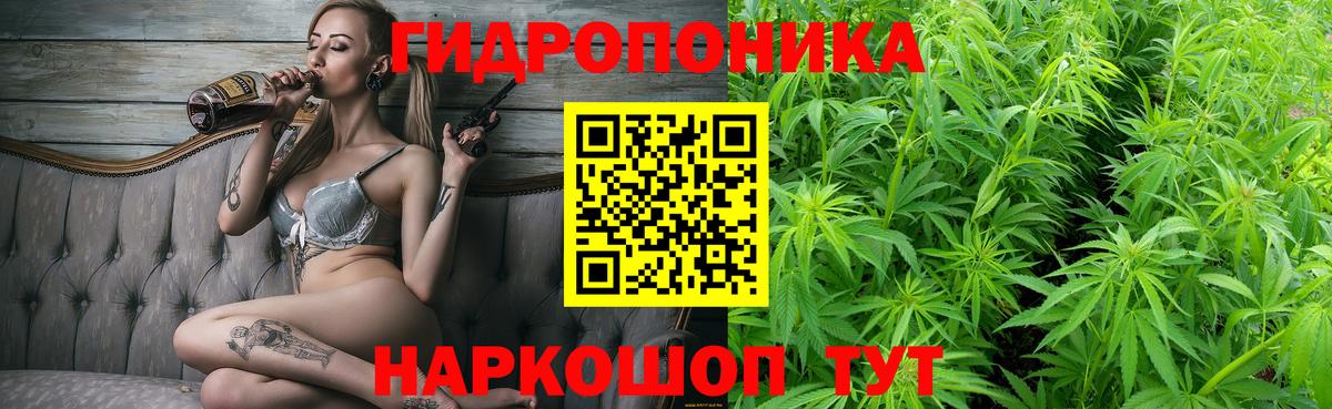 Конопля White Widow  Вход с VPN  Марихуана тримм  Трёхгорный 